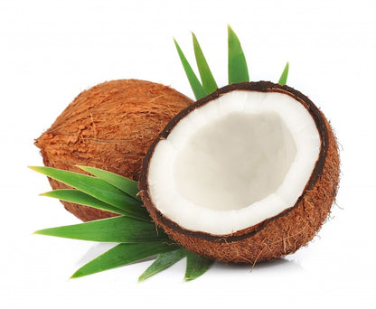 Coconut - Fragrance Oil