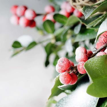 Holly Berry - Fragrance Oil