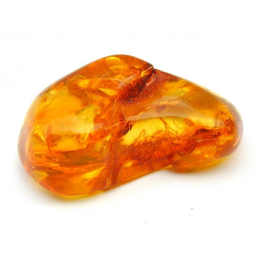 Ambre Lumiere - Fragrance Oil