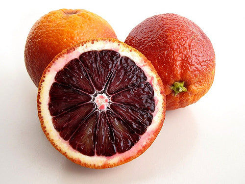 Blood Orange - Fragrance Oil
