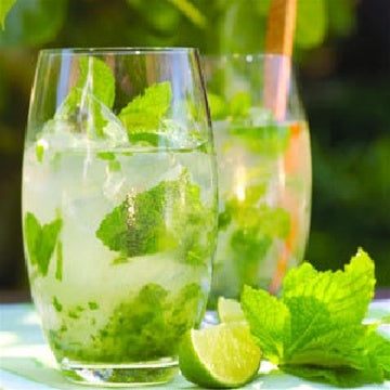 Mint Mojito - Fragrance Oil