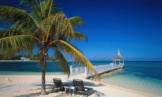 Montego Bay - Fragrance Oil