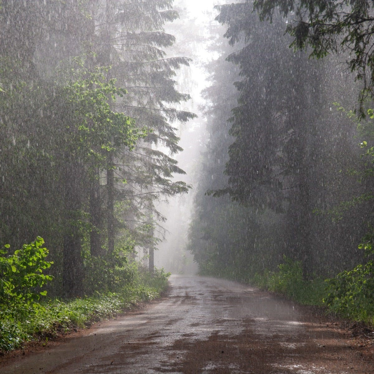 Rainstorm - Fragrance Oil