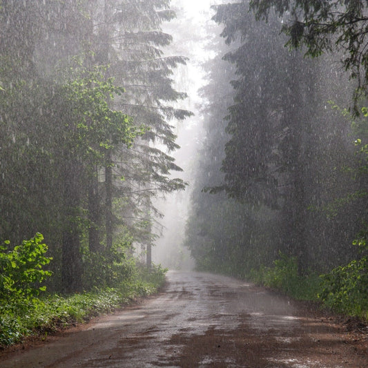 Rainstorm - Fragrance Oil