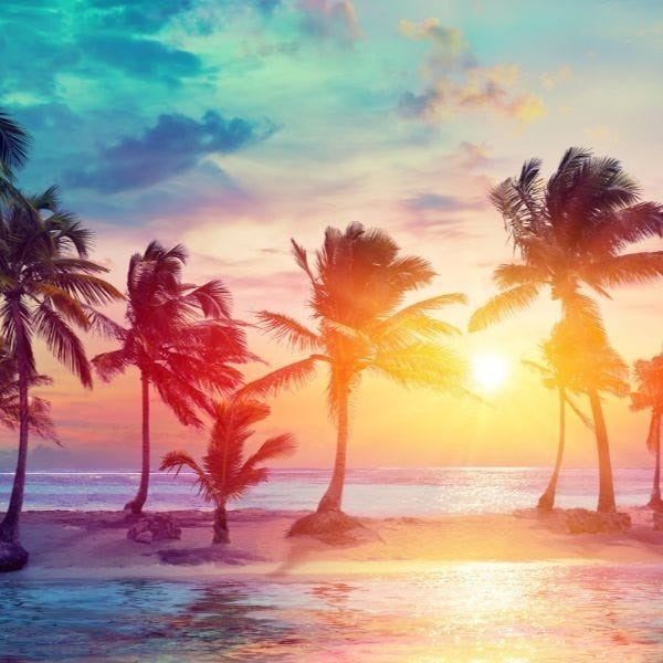 Caribbean - Fragrance Oil