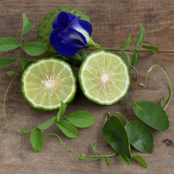 Bergamot & Patchouli - Fragrance Oil