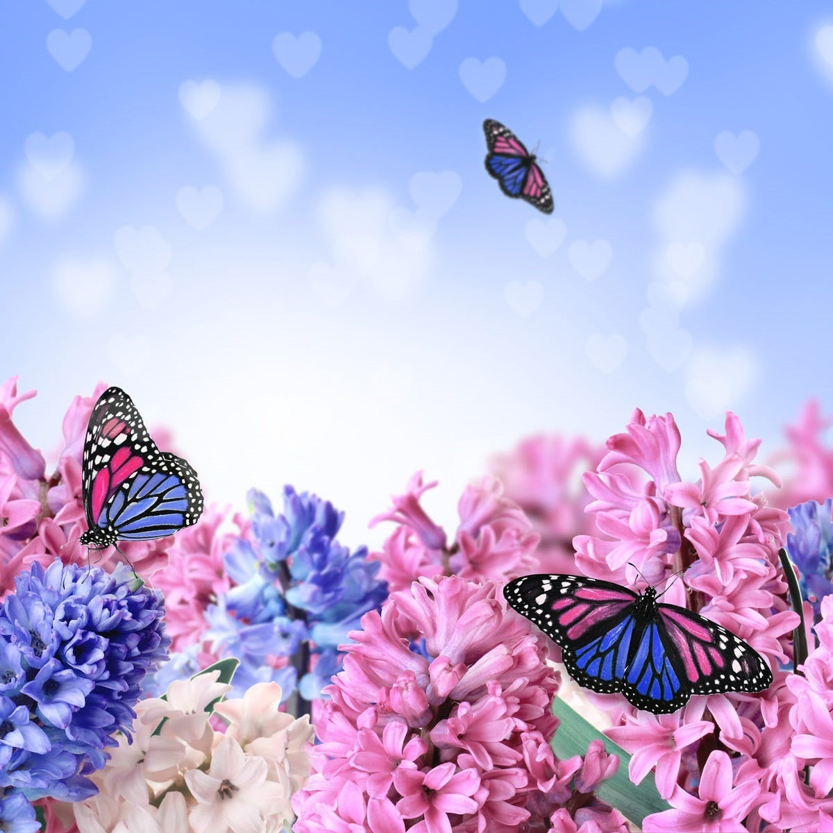 Butterfly Kisses - Fragrance Oil